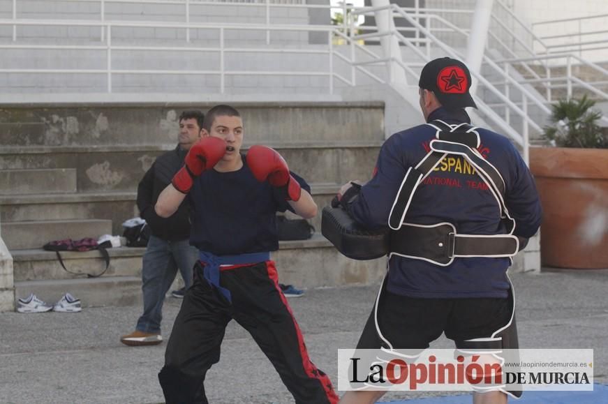 Fiesta del Deporte de Murcia (domingo)