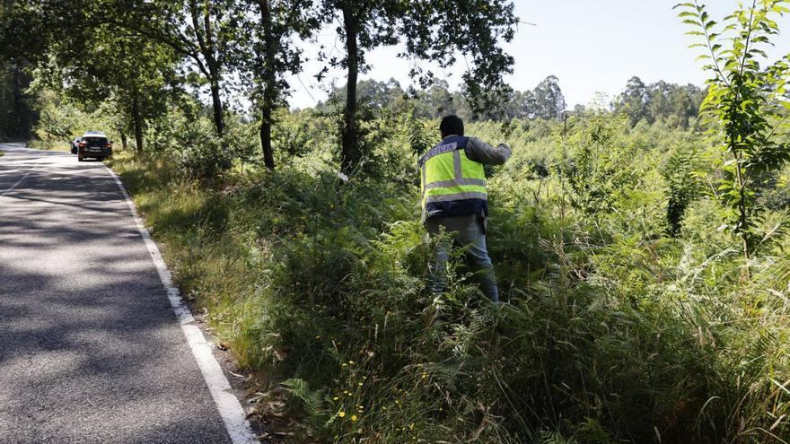 Investigan la muerte de la mujer hallada en un monte junto a la carretera en Beade