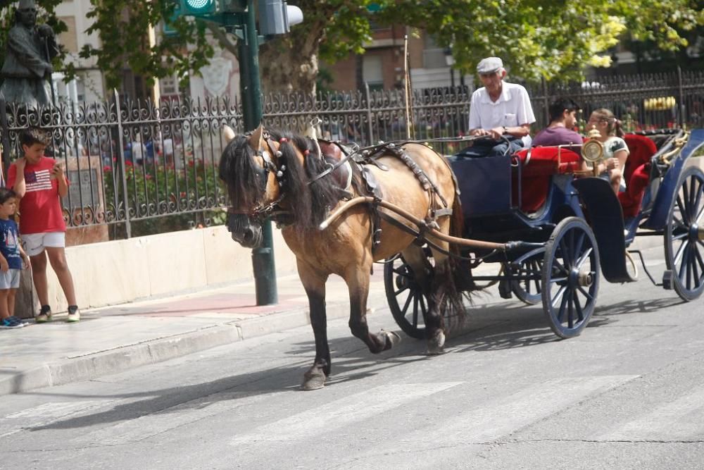 Día del caballo en la Feria de Murcia 2018