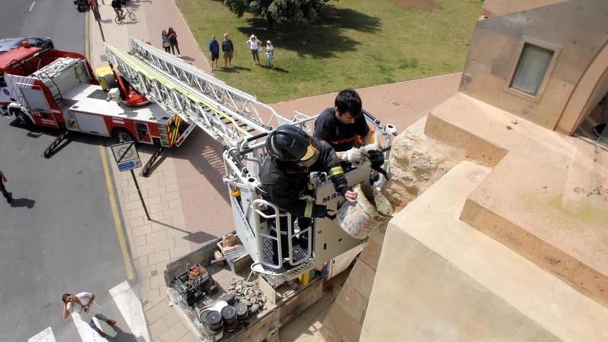 Bomberos municipales durante el rescate de un gato que se encaramó el pasado año a la Muralla de Carlos III.