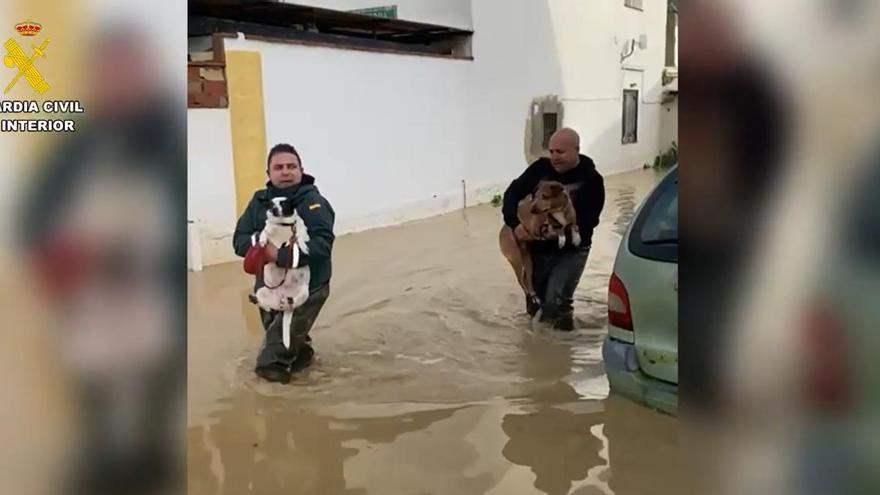 Rescatados en Cártama por la crecida del Guadalhorce