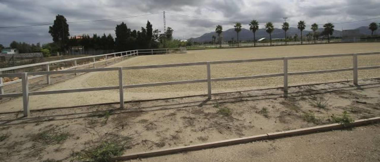 Oliva concedió licencia de obra al centro ecuestre pese a que  no tenía todos los permisos