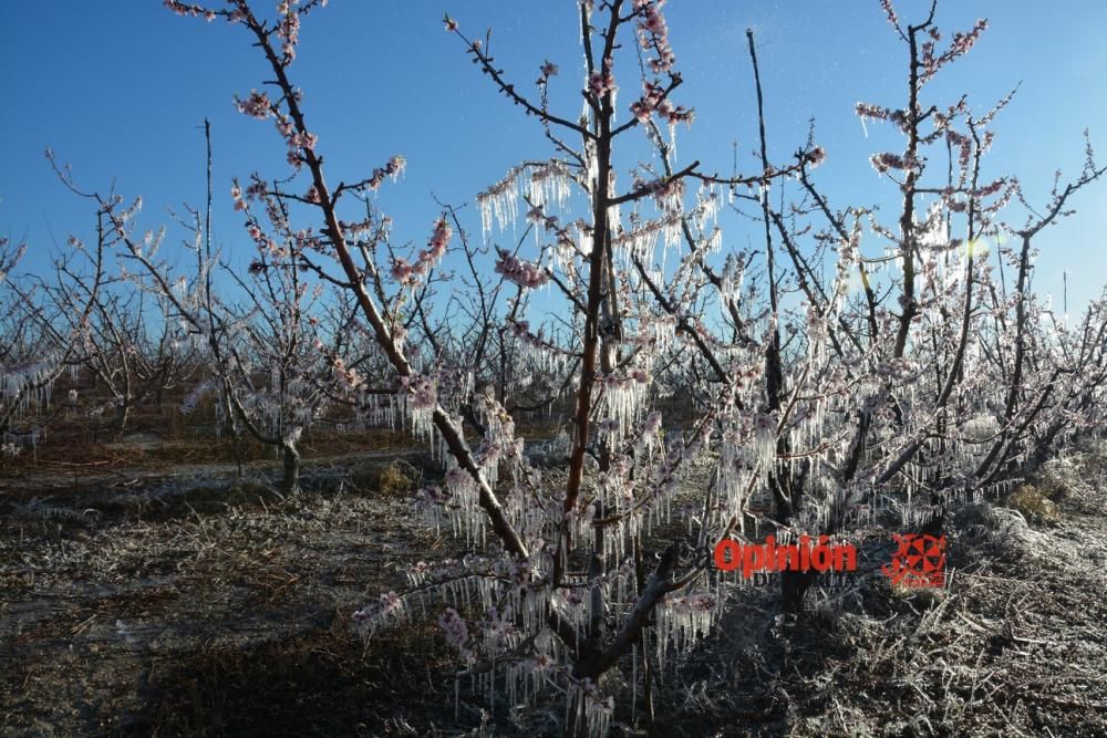Helada en Cieza 9 de febrero de 2018