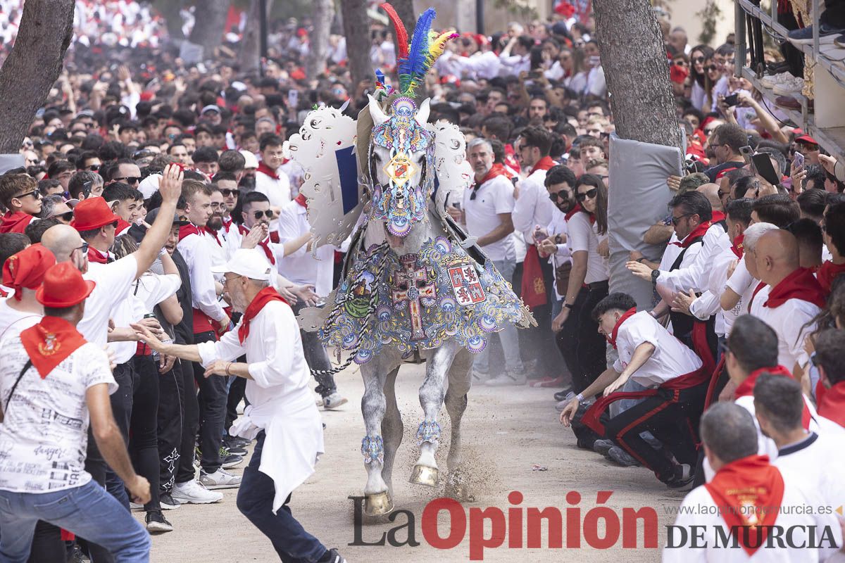 Así se ha vivido la carrera de Los Caballos del Vino en Caravaca