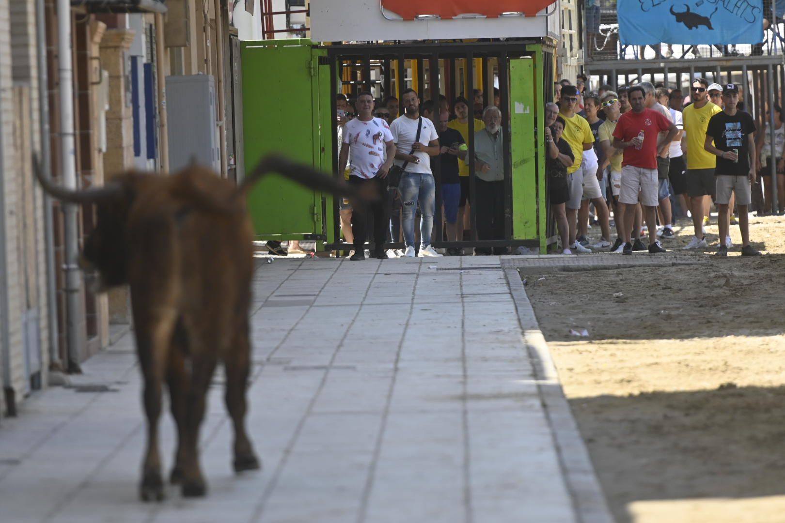 Martes de tradición, toros y fiesta en el Grau por Sant Pere