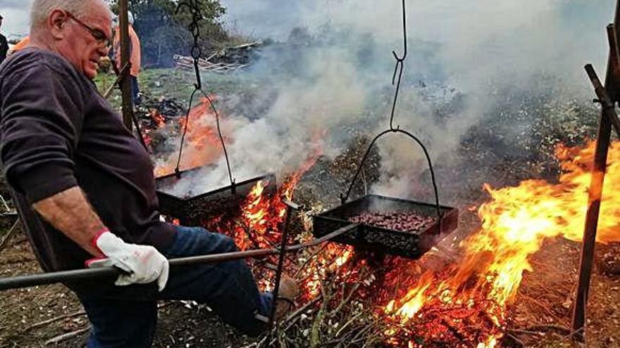 Las castañas se asan a la lumbre para repartirlas en el magosto de Sejas de Aliste.