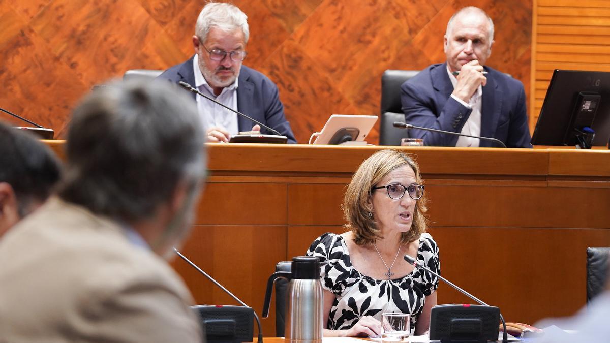 La nueva directora general de Salud Pública del Gobierno de Aragón, Aitziber Lanza, en la comisión de Sanidad de las Cortes.