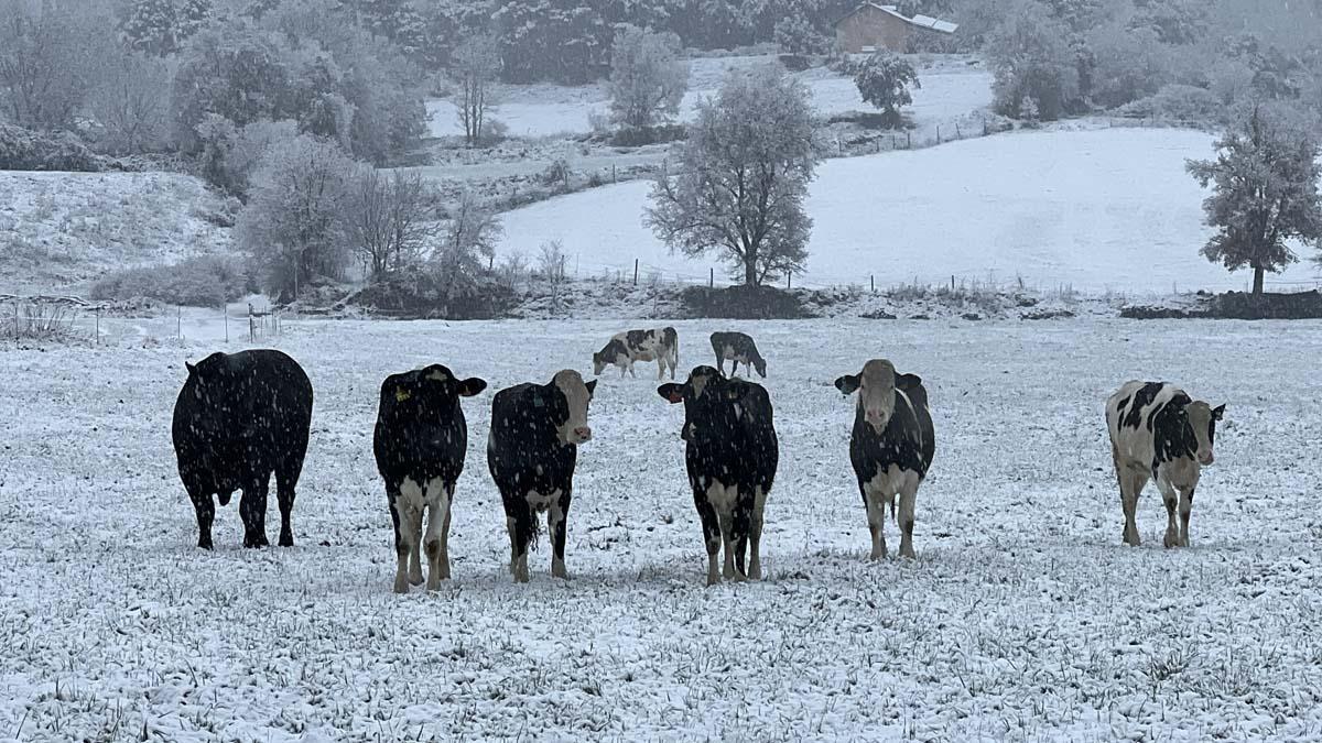 Lluvia y nieve para este fin de semana en Catalunya