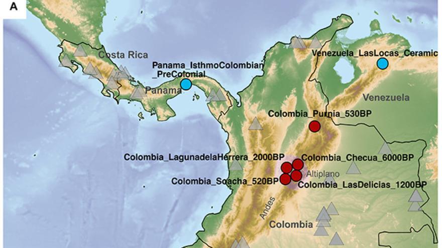 Descubren rastros de una enigmática civilización antigua en Colombia