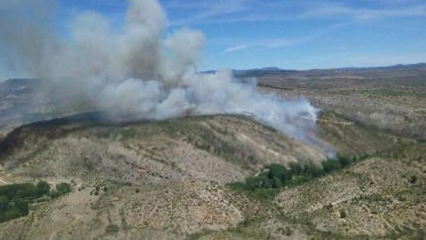 Aspecto que presenta el fuego declarado en Vallanca.