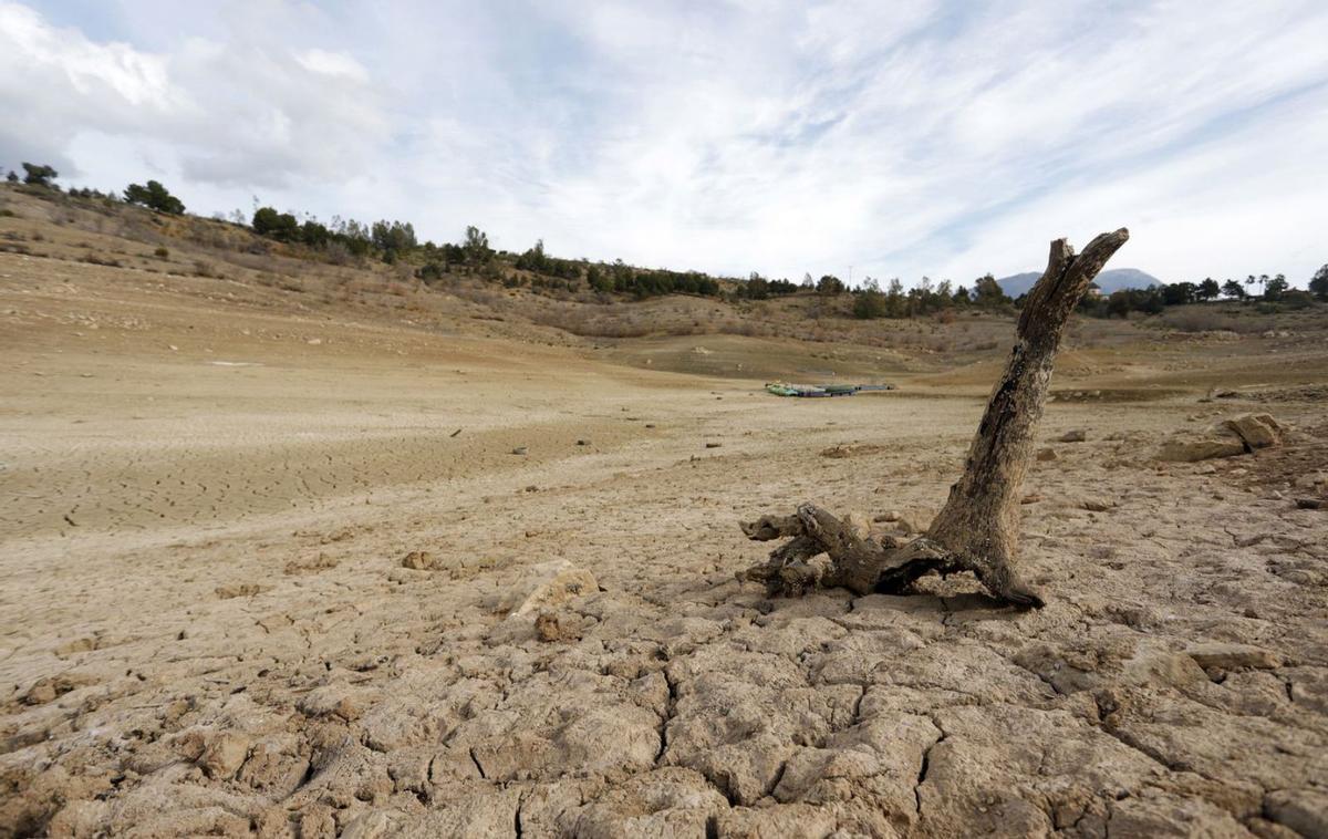 En 2050 se esperan temperaturas por encima de los 40 grados.