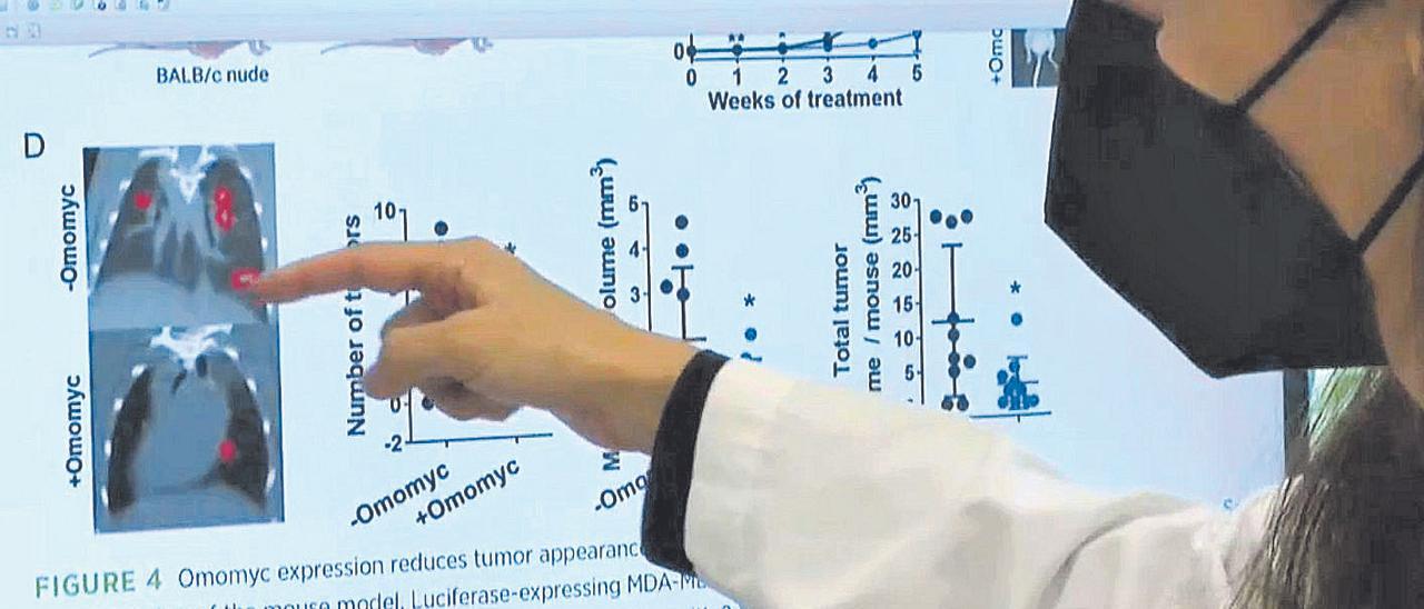 Cáncer: La terapia dirigida, clave en el éxito de la cura del cáncer