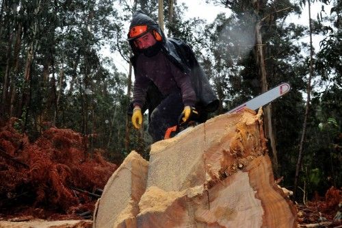 Construcción de una batea en Arousa