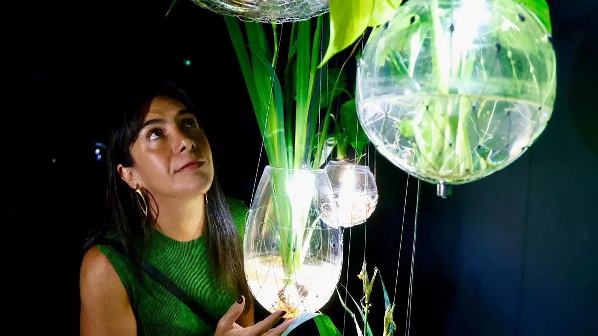 Tania Candiani introduce en el IVAM un ecosistema natural vivo y en permanente evolución