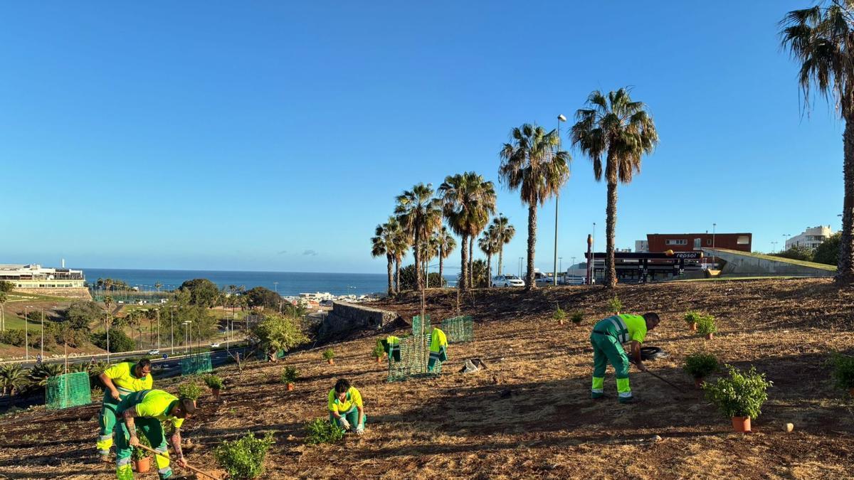 El PP carga contra los retrasos en los grandes contratos de Las Palmas de Gran Canaria