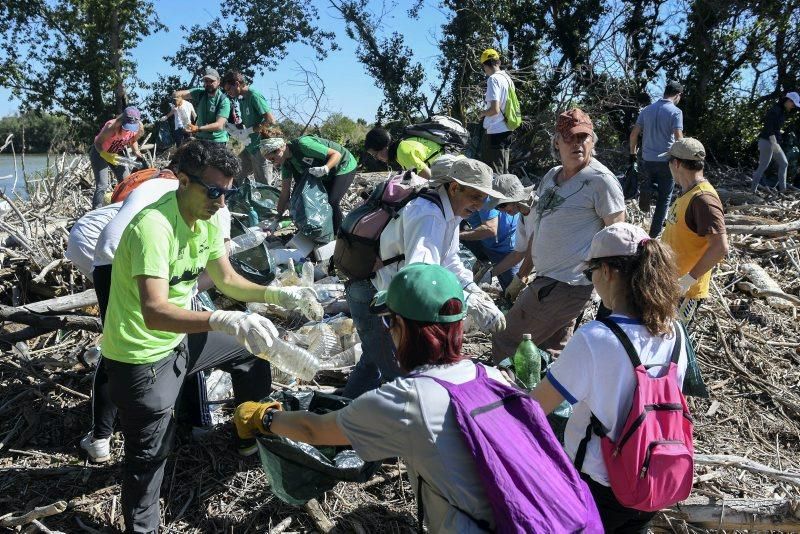 Recogida de plásticos en la ribera del Ebro