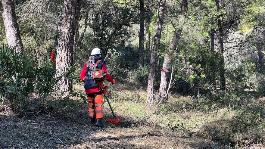 Serra incorpora por primera vez a cinco brigadistas para el mantenimiento del bosque