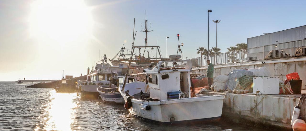 La campaña del langostino de Guardamar se inicia sin capturas