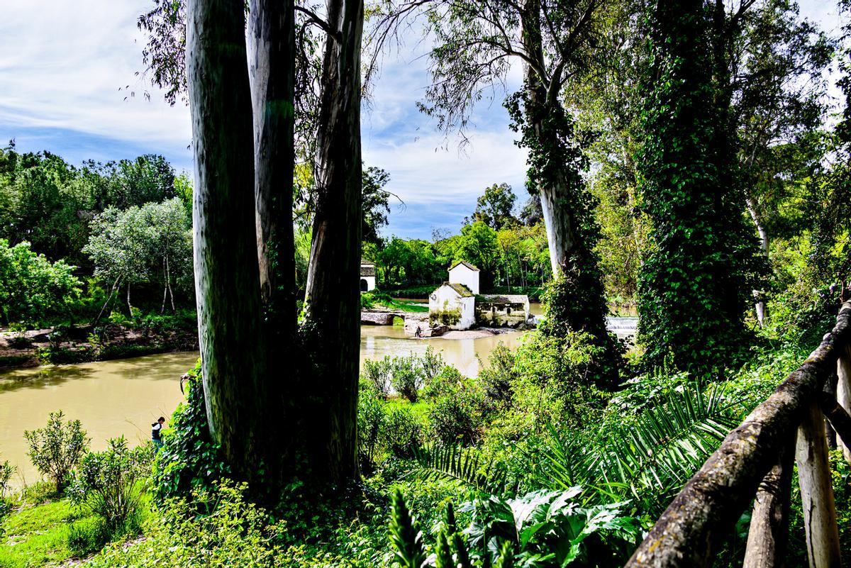 Alcalá de Guadaira.