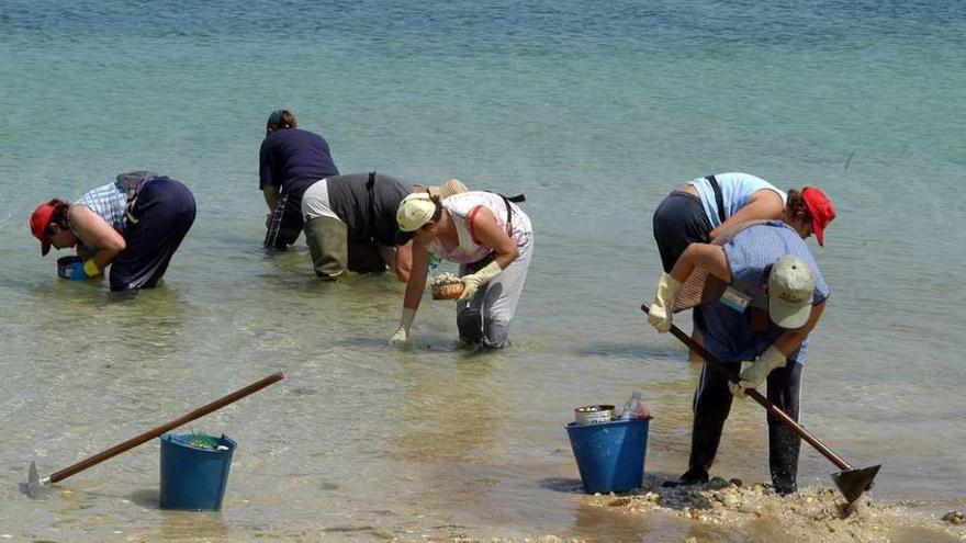 Mariscadoras arousanas en plena faena. // Iñaki Abella