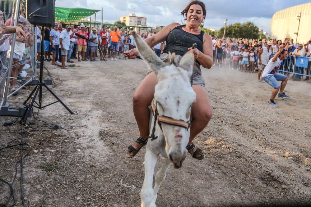 Carrera de burros y asnos y exhibición canina en D