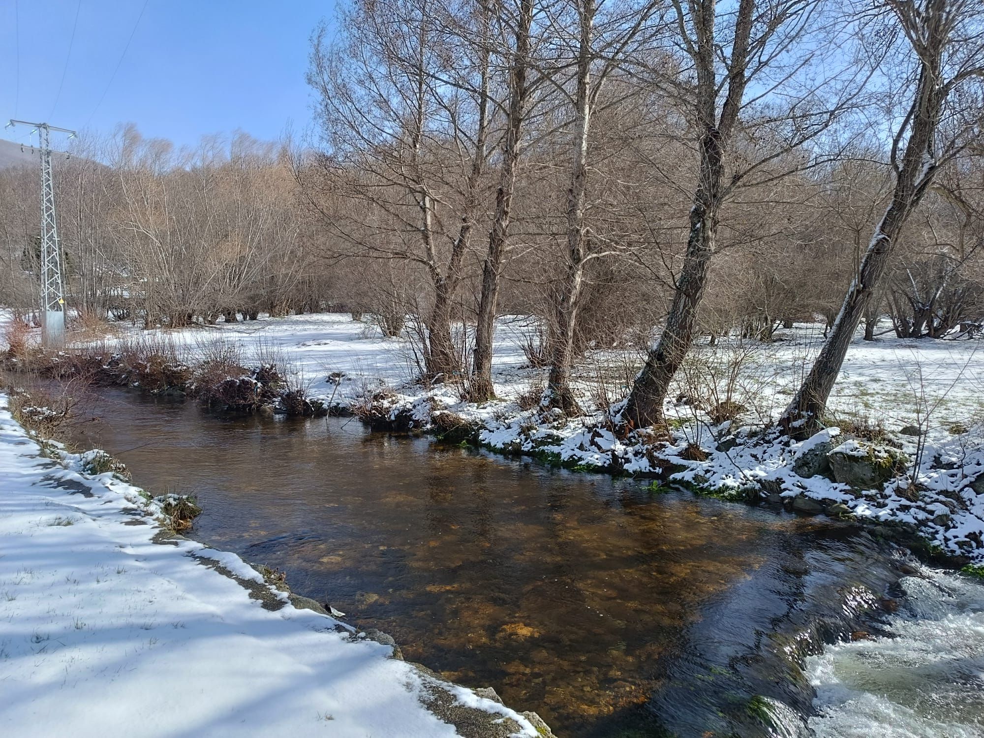 GALERÍA | La nevada de este sábado en Sanabria