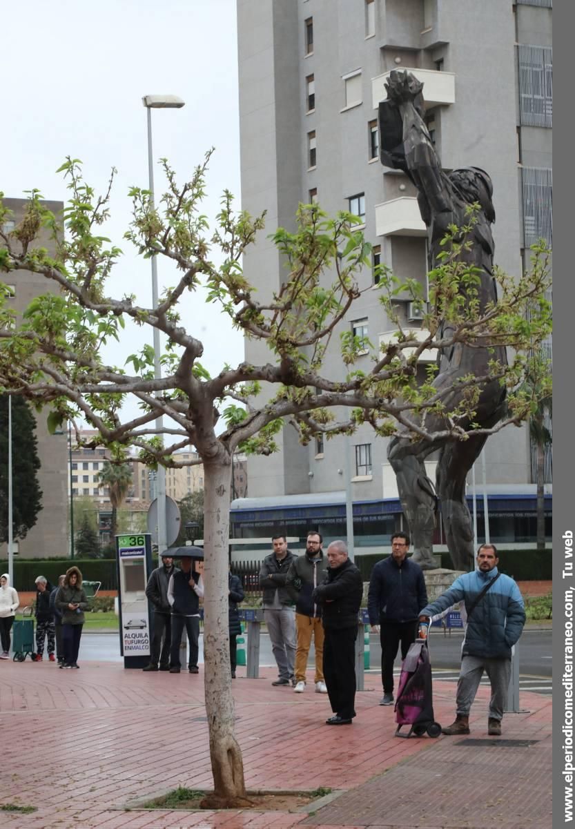 Así vive Castellón el coronavirus