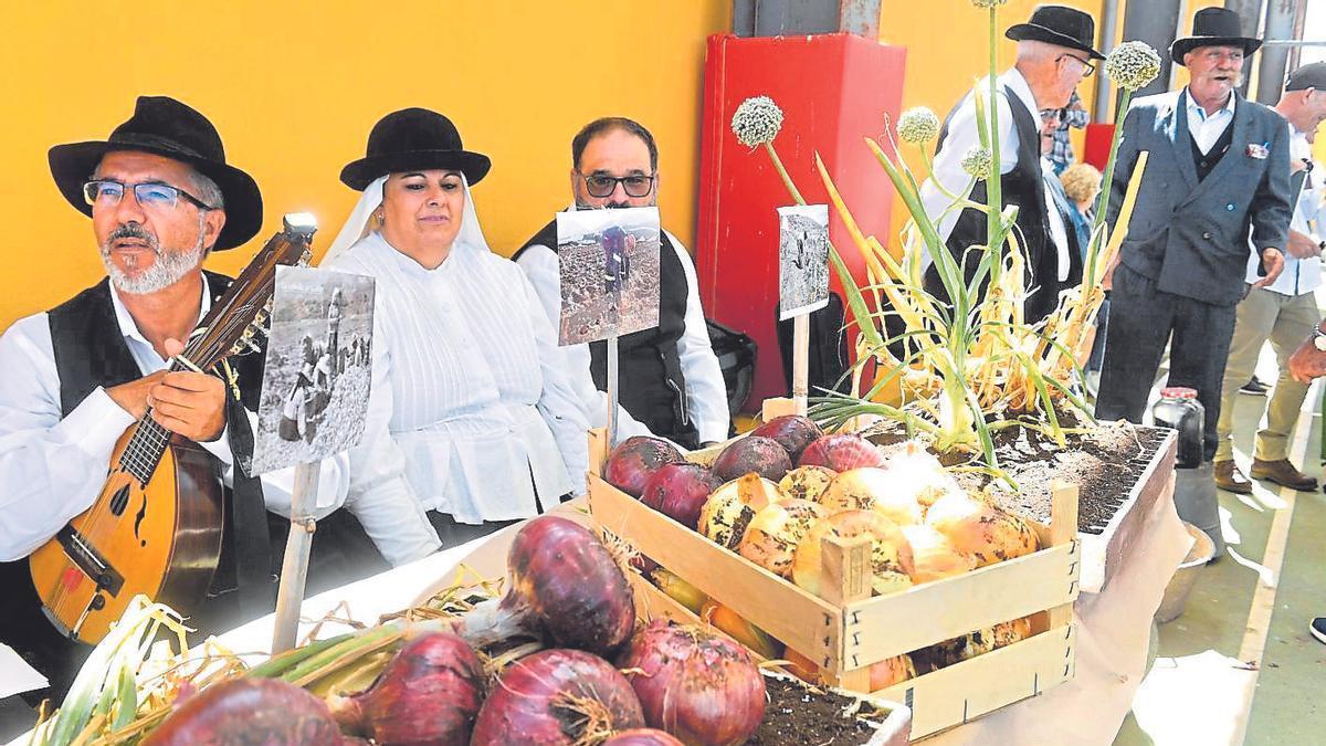 Participantes en la Fiesta de la Cebolla del barrio de Piso Firme, en Gáldar, en una edición anterior.