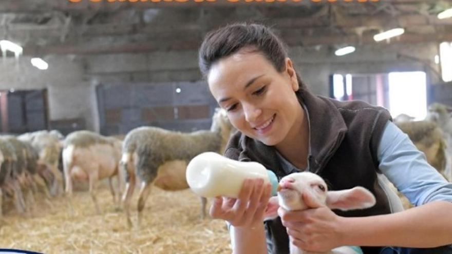 Soneja será escenario de unas jornadas sobre mujer y emprendimiento rural.