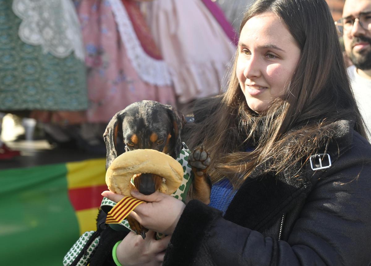 Una vecina junto a su perro el día de la celebración de Sant Antoni el pasado año en Castelló.