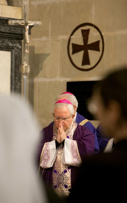 El obispo de la Diócesis de Orihuela-Alicante, Jesús Murgui, ha presidido la Santa Misa Jubilar.