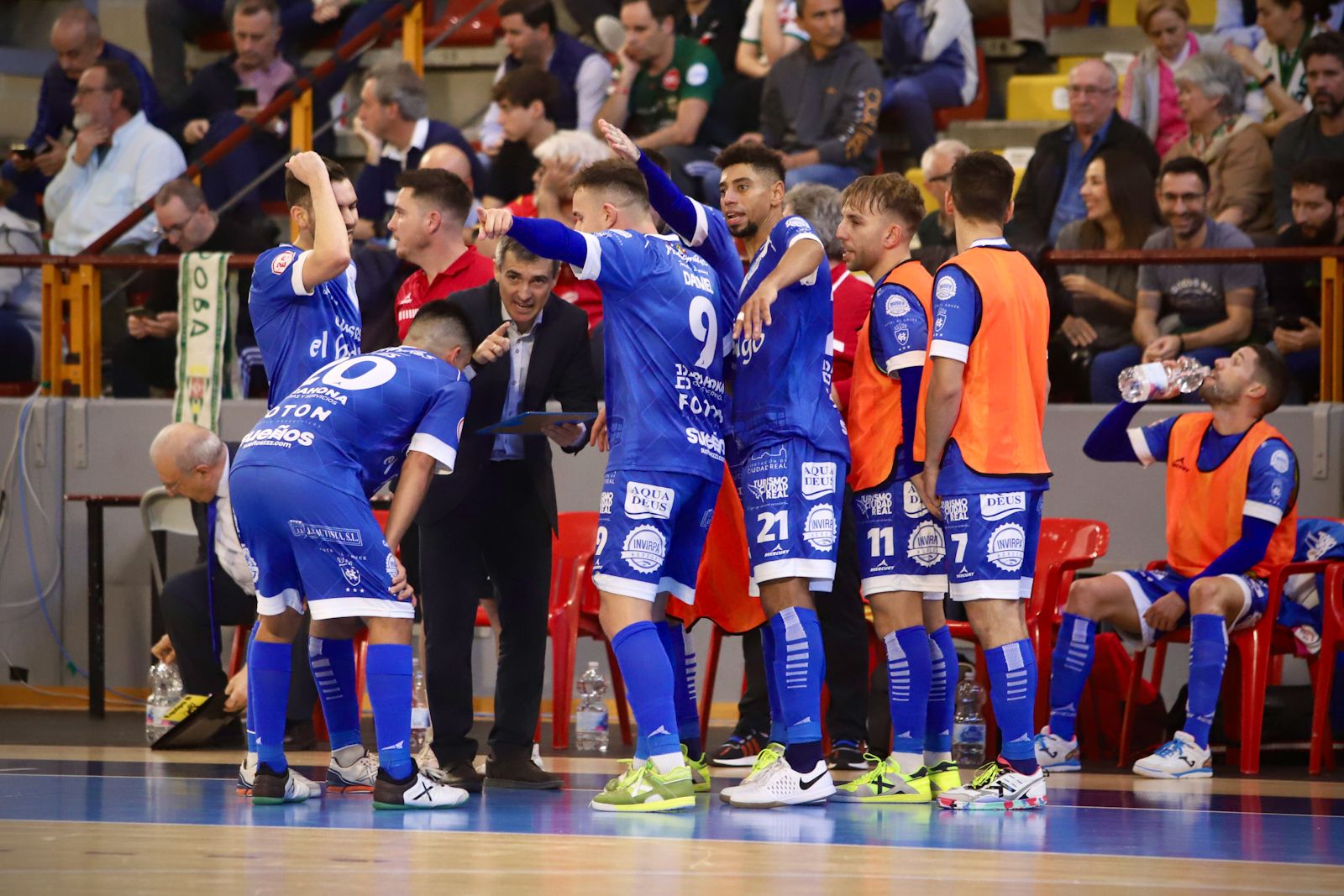 Córdoba Futsal - Manzanares : el partido en Vista Alegre en imágenes