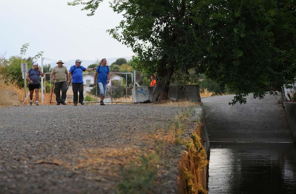 Búsqueda del desaparecido en la barriada de Alcolea