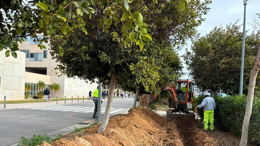 El Vinalopó reducirá un 18 % su factura energética con 1.500 placas solares en Elche