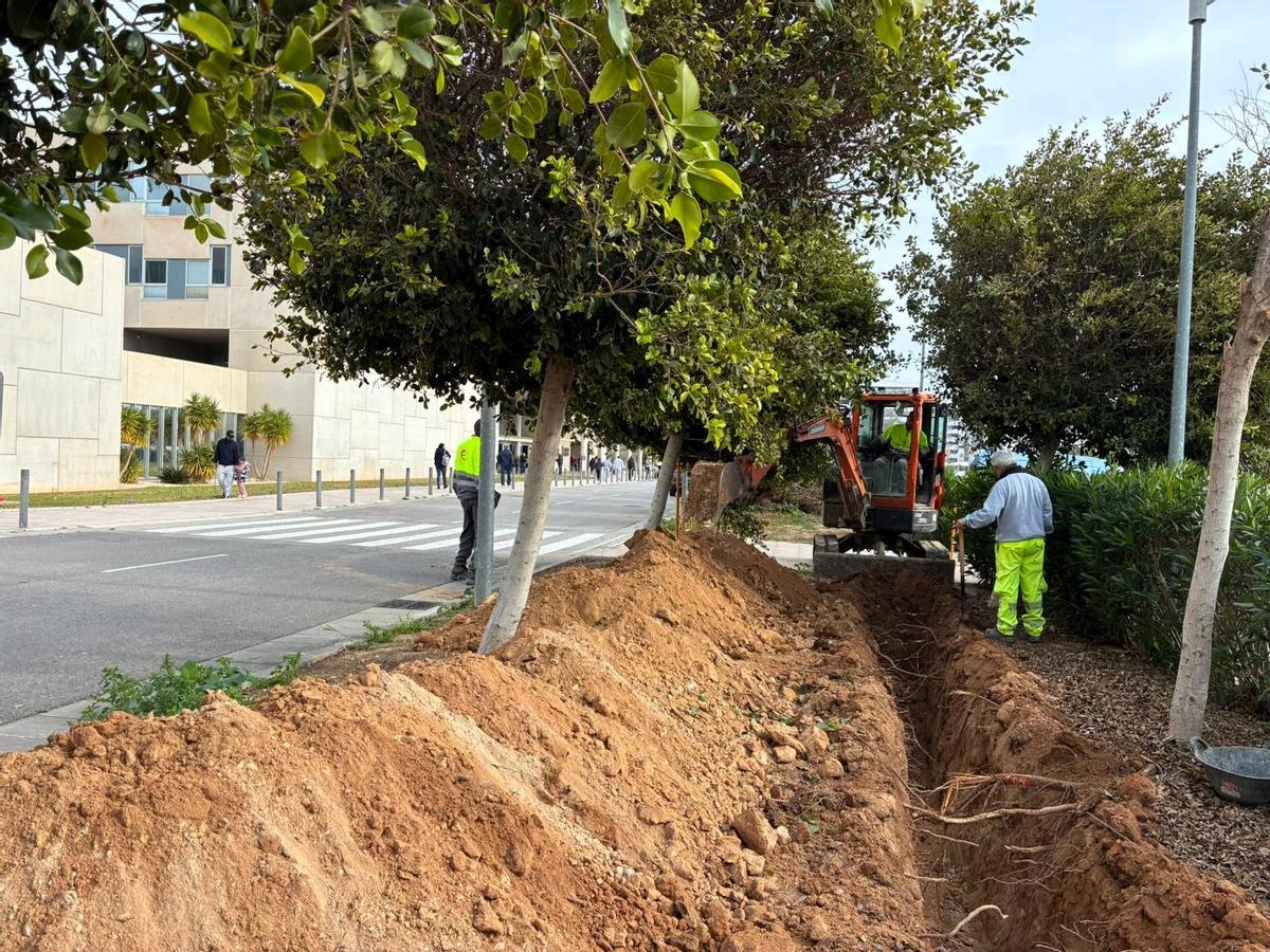 Los trabajos para la instalación de 1.500 placas solares en el Hospital del Vinalopó en Elche ya han comenzado
