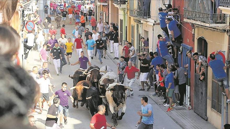 Almassora soltará 14 cerriles en seis jornadas en las fiestas de mayo