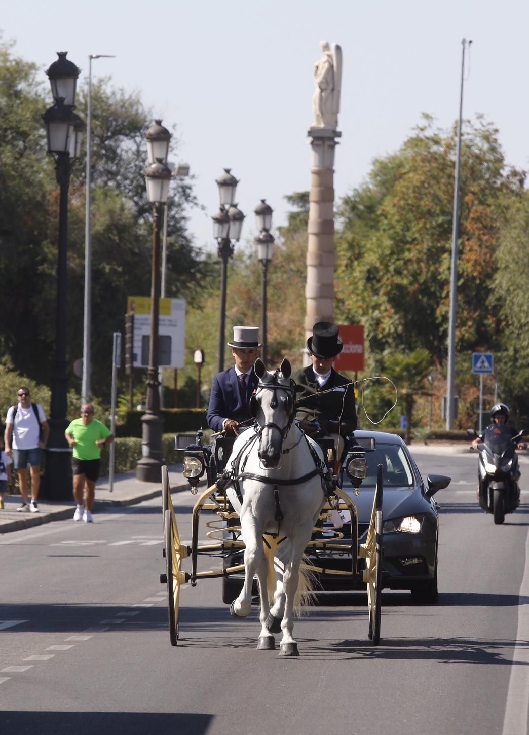 Fotogalería/ Tercera jornada de Cabalcor, concurso de enganches.