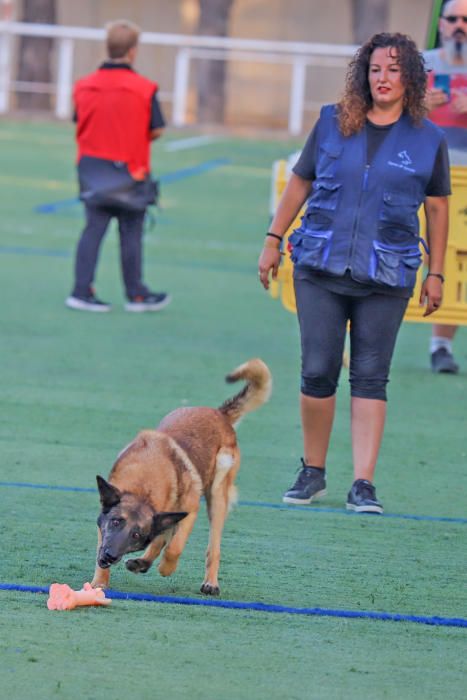 Exhibiciones ligadas a los trabajos ganaderos y agrícolas, ecuestre y canina, fiesta y feria, se dan cita en la Feria de Ganado de Dolores, el Fegado.