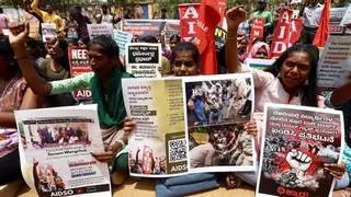 La rebelión de las Cucarachas: el fenómeno viral que desafía al Gobierno de la India