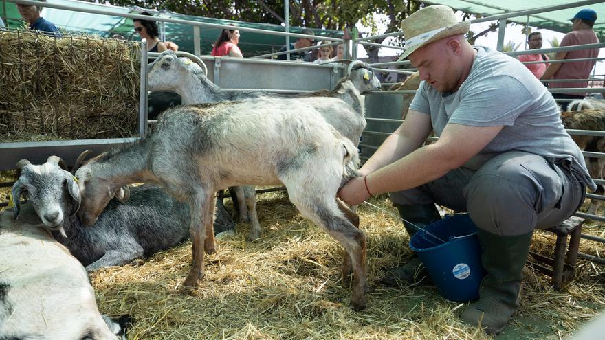 Un &#039;Tenderete del baifo&#039; pone punto final a la campaña para fomentar el consumo de carne de cabra