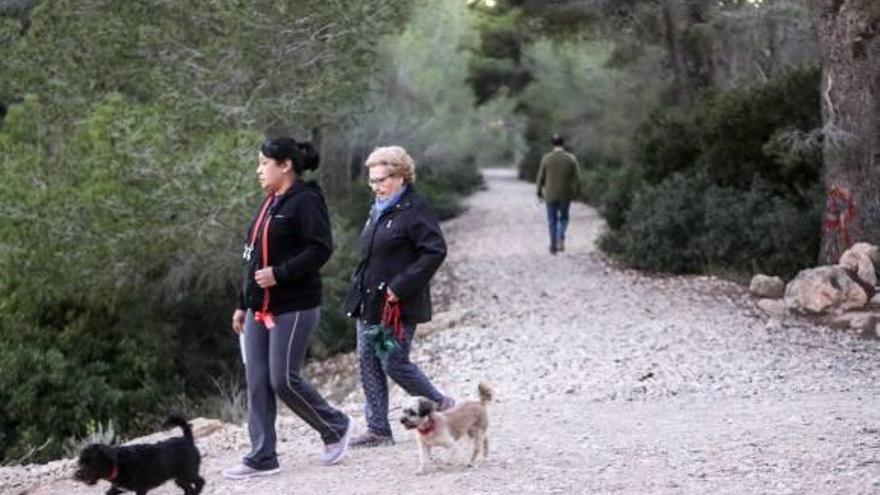 De senda en senda por el Moralet de Benidorm