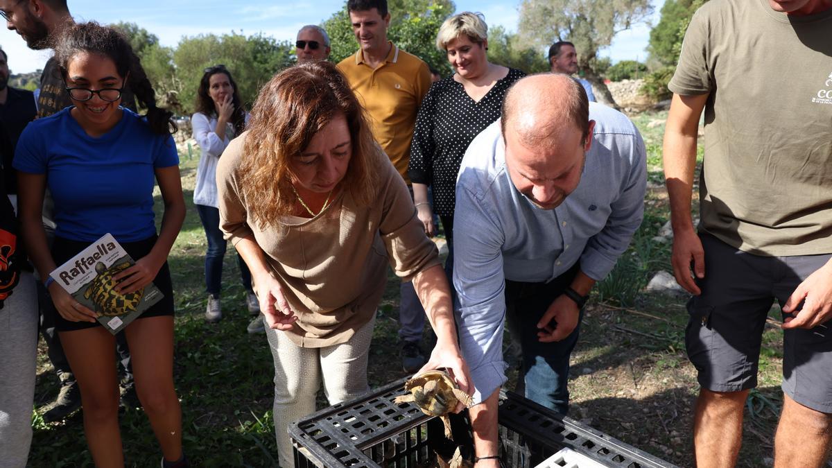 El Parc Natural de Llevant celebra sus 21 años con la suelta de 83 tortugas de tierra