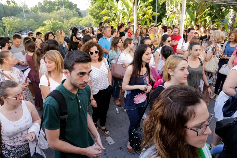 Oposiciones a Educación Primaria en la Región