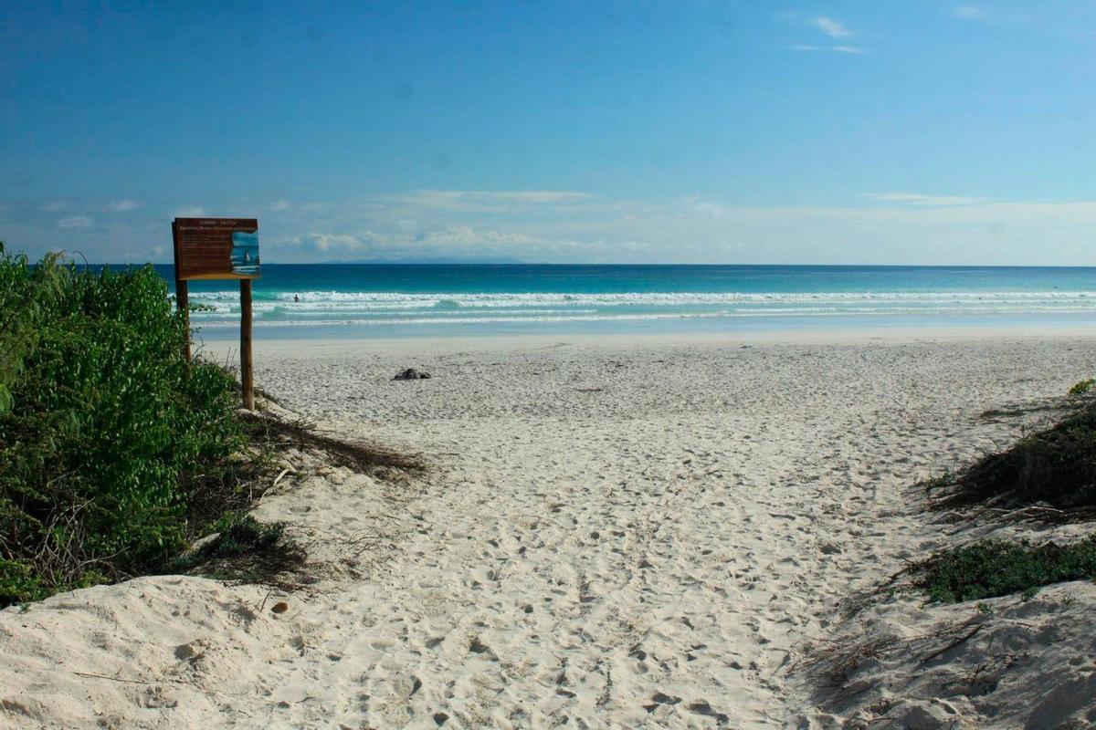 Galapagos Beach en Tortuga Bay, Puerto Ayora, Ecuador