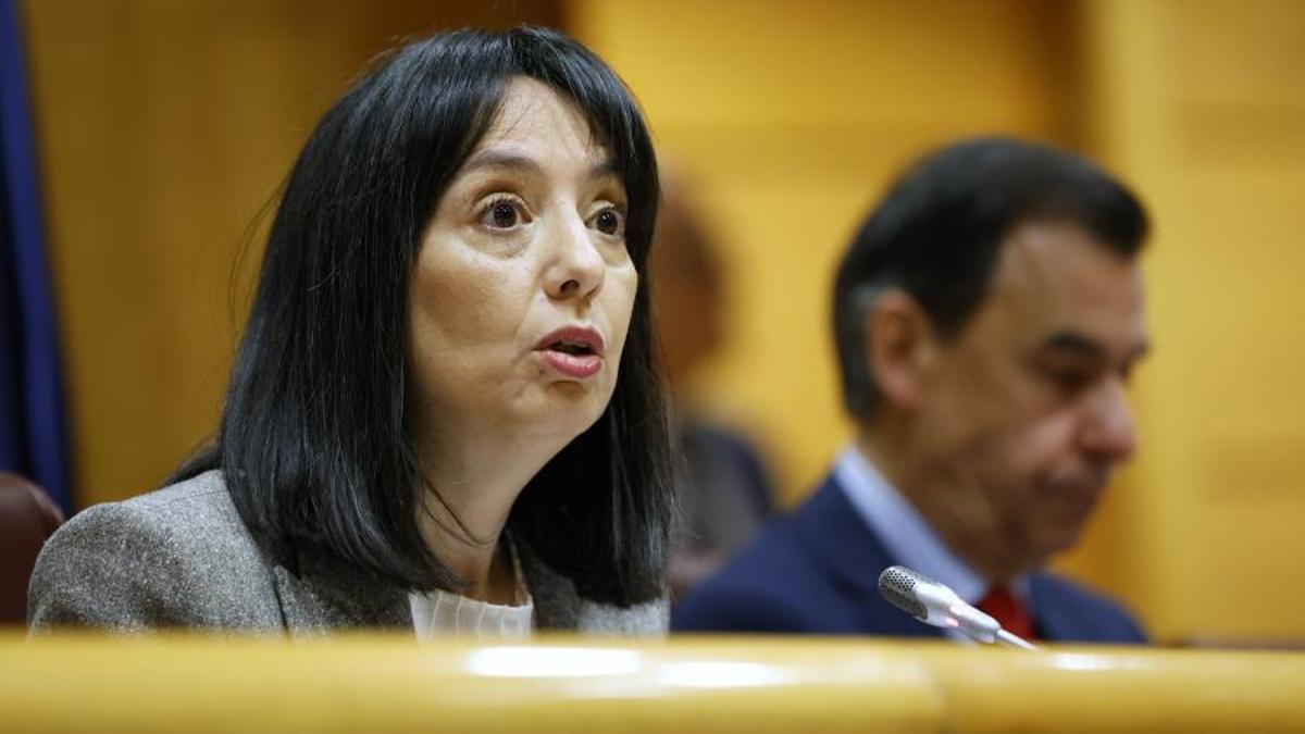 La directora de la Guardia Civil, Mercedes González, este lunes en el Senado.