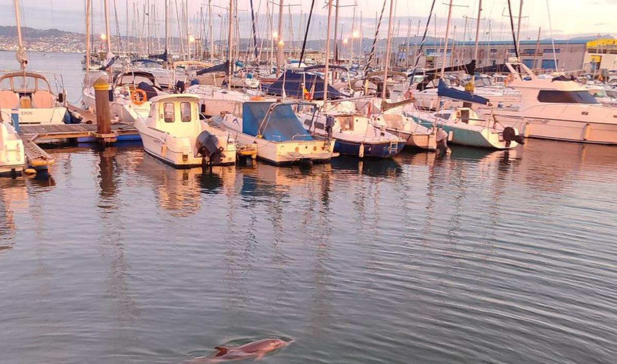 Puerto deportivo de Cangas. | G.N.