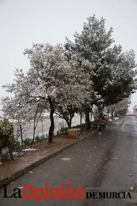 Nieva en las pedanías altas de la comarca del Noro