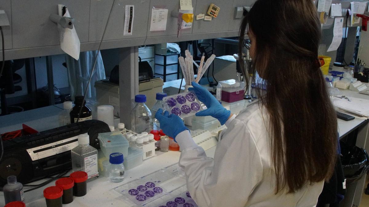 Uns 65 grupos de investigación da USC reciben axudas da Xunta