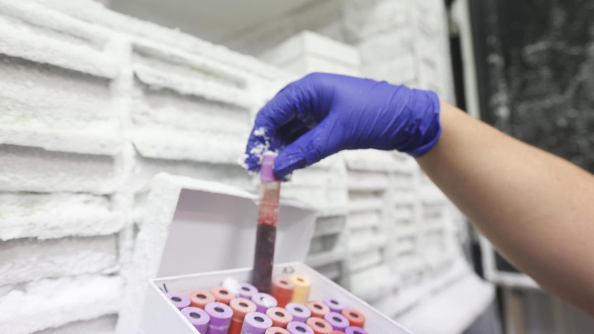 Muestras de sangre en un centro sanitario de Alicante en una imagen de archivo-