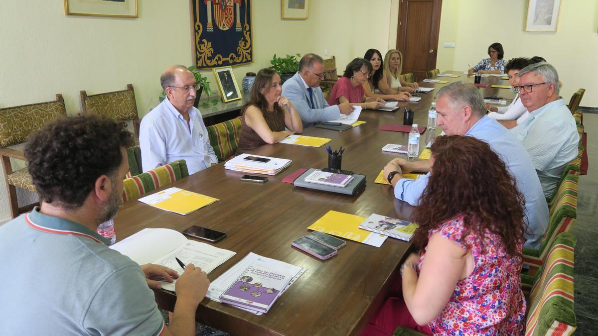 Un momento de la reunión de la comisión de seguimiento del PFEA.